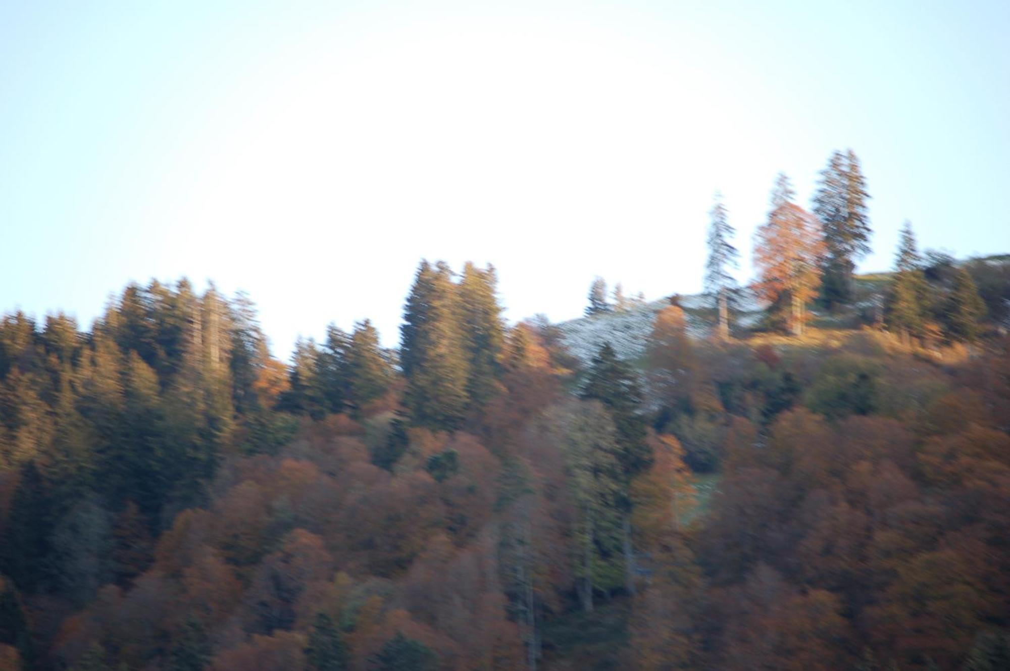 Gasthaus Schaefli Alt St. Johann Екстер'єр фото