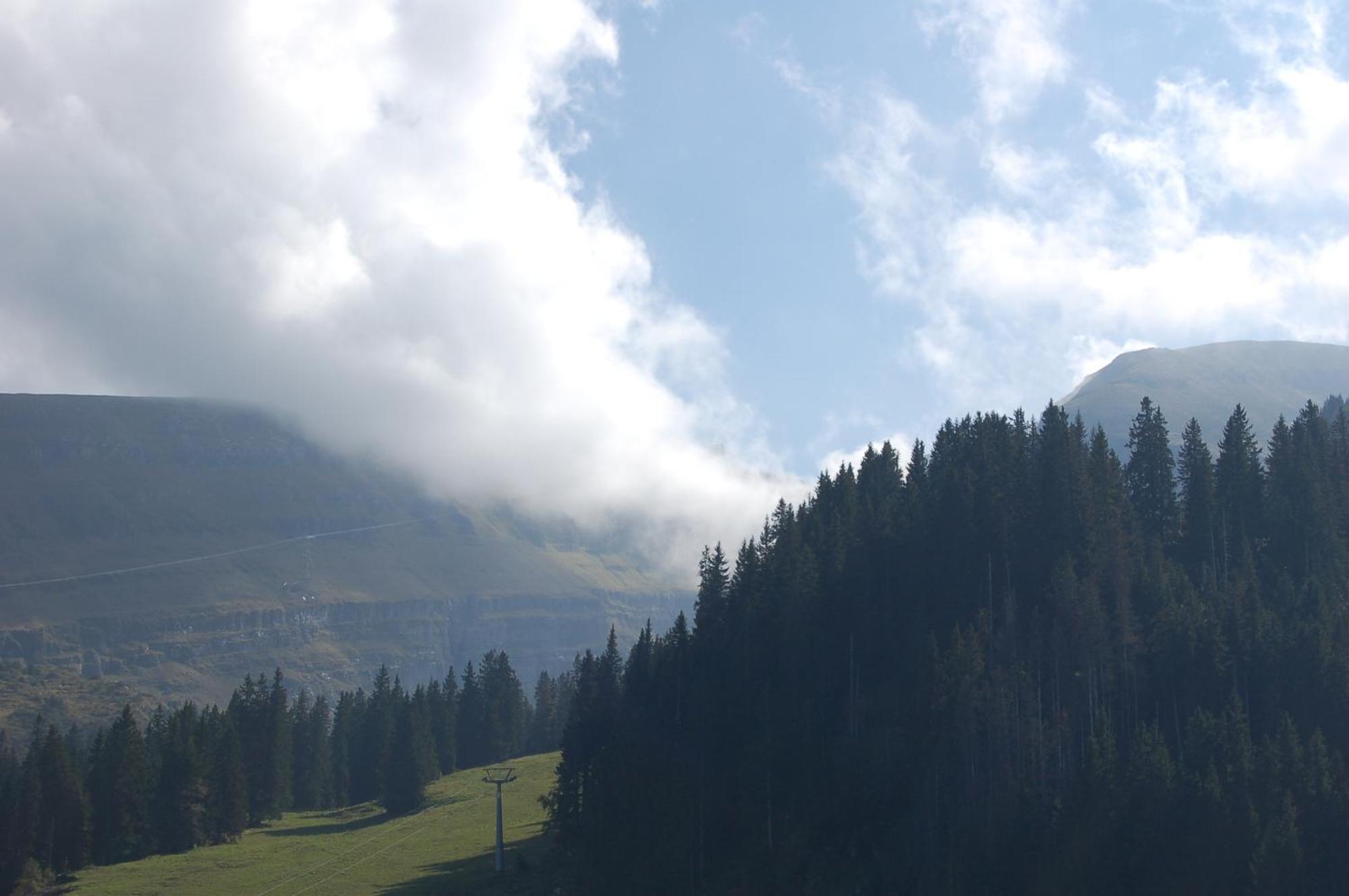Gasthaus Schaefli Alt St. Johann Екстер'єр фото